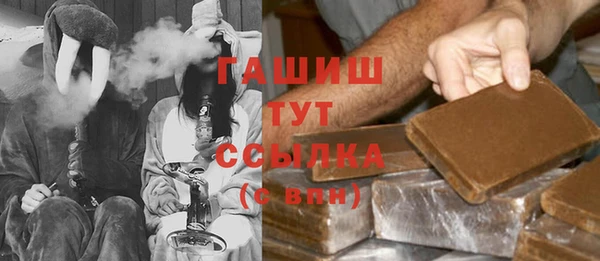 сатива Новодвинск