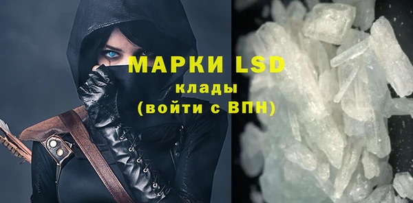 гидра Няндома