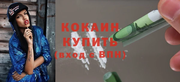 гидра Няндома