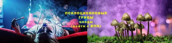 apvp Новозыбков