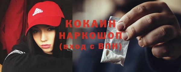 гидра Няндома