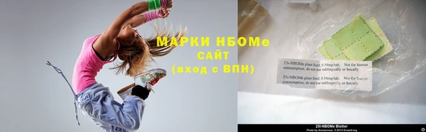 сатива Новодвинск