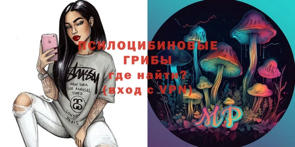apvp Новозыбков