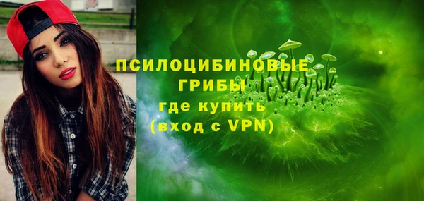 ешки Новокубанск