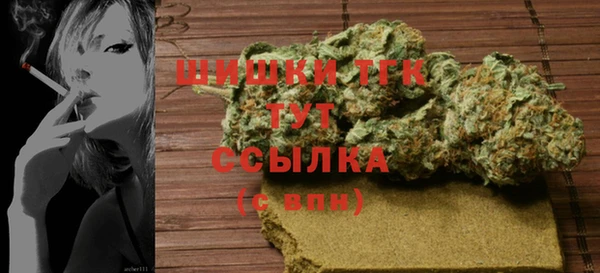 сатива Новодвинск
