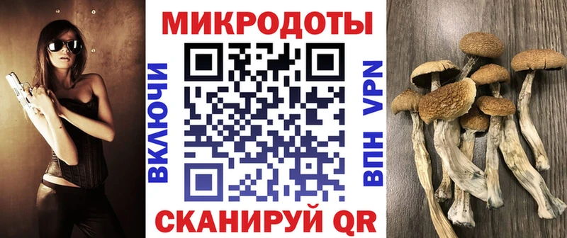 Галлюциногенные грибы Psilocybe  Орёл 