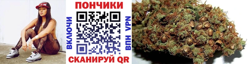 МАРИХУАНА ГИДРОПОН  kraken tor  Орёл 